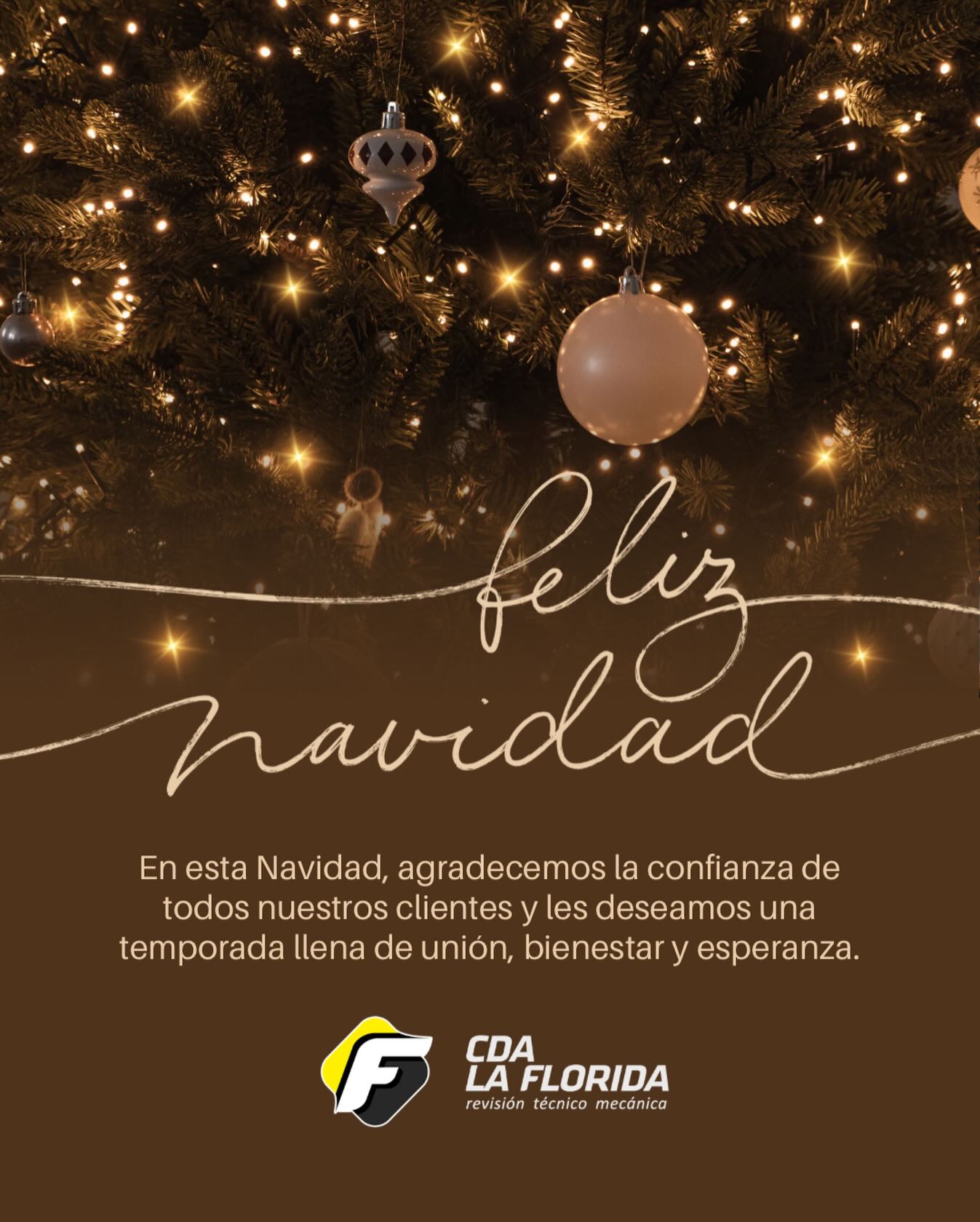 En esta Navidad agradecemos la confianza de todos nuestros clientes.
Les deseamos una temporada llena de unión, bienestar y esperanza junto a sus seres queridos.
De parte de todo el equipo de CDA LA FLORIDA, ¡Felices Fiestas!